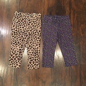 Cat and jack and children place pants